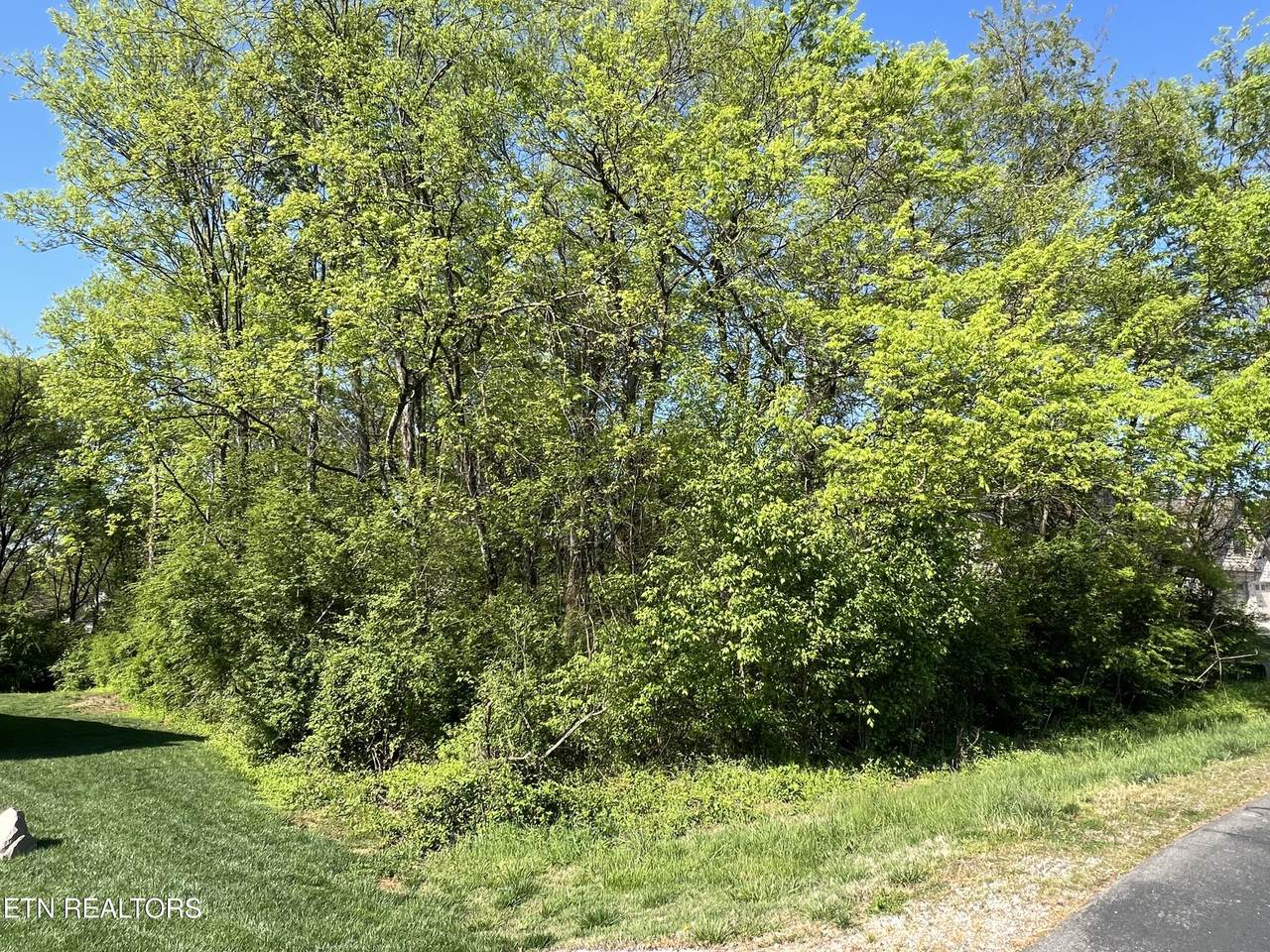 170 Utsesti Way - Photo 1