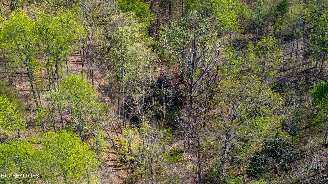 00 Dodson Branch Hwy - Photo 1