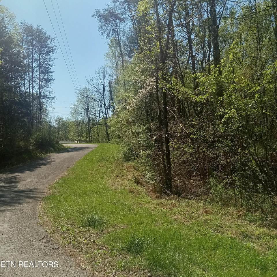  Mountain Rd - Photo 1