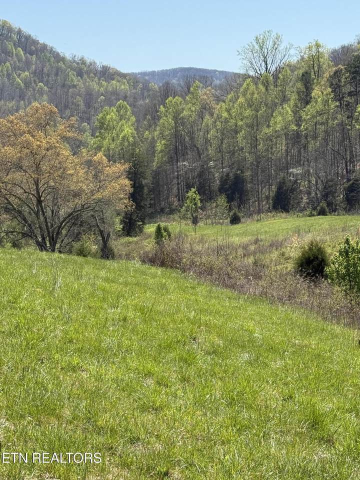 0000 Goshen Valley (64 Acres) Rd - Photo 1