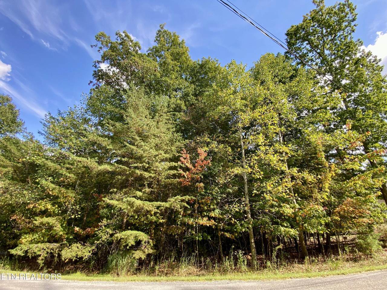 92 Hanning Drive - Photo 1