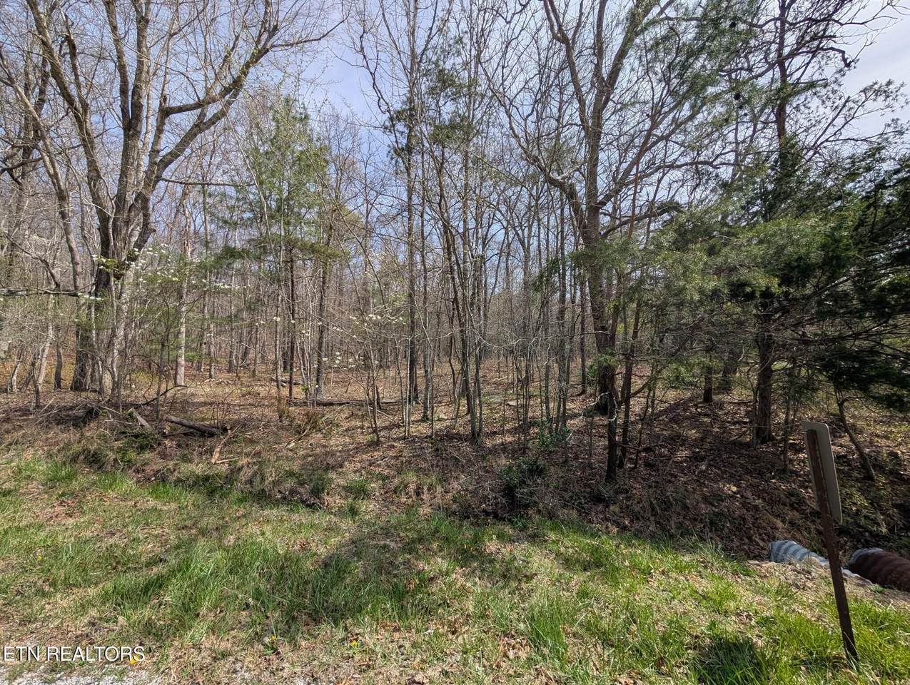 119 Kings Down Drive - Photo 1