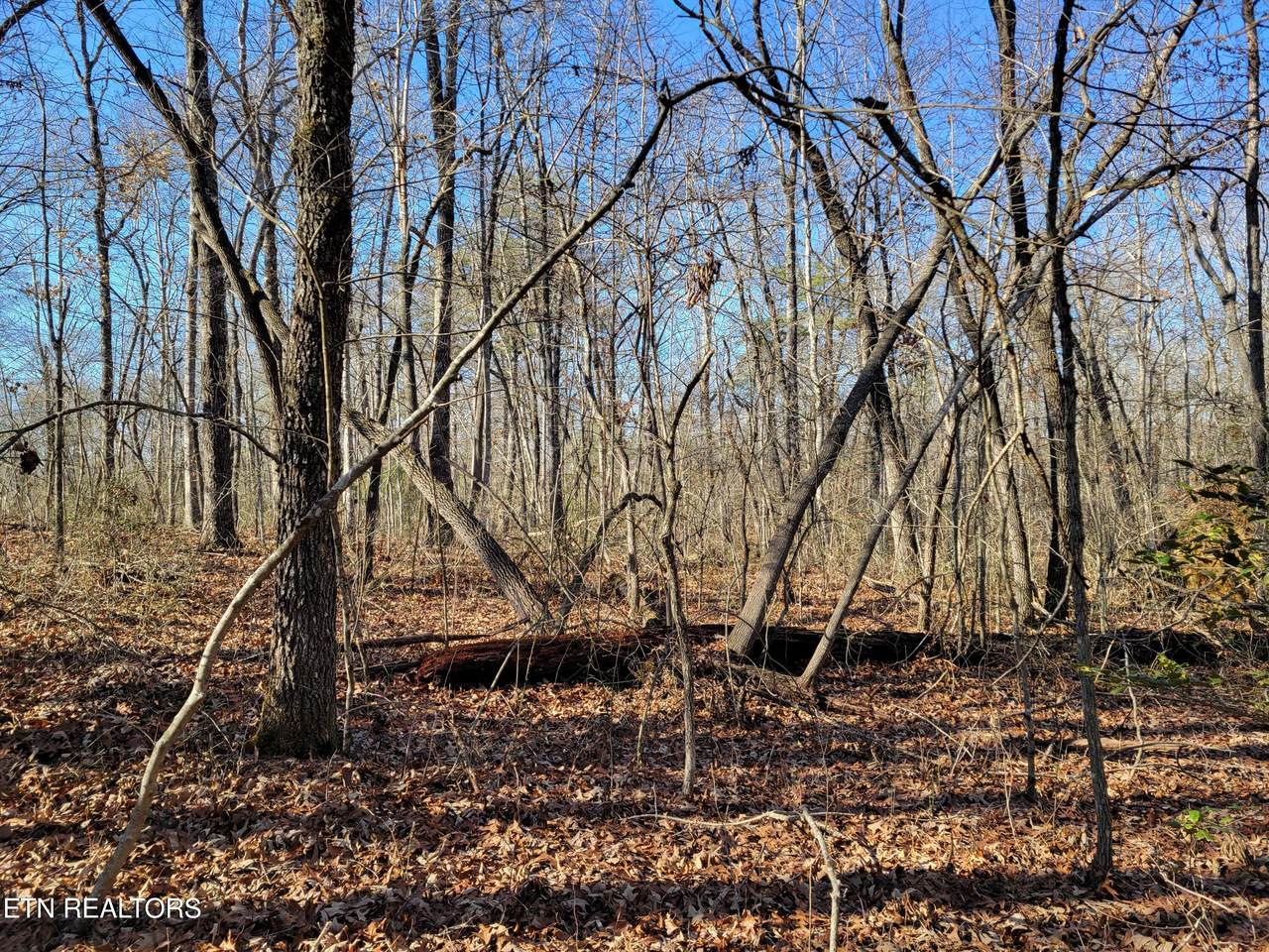 11 Rhonda Rd - Photo 1