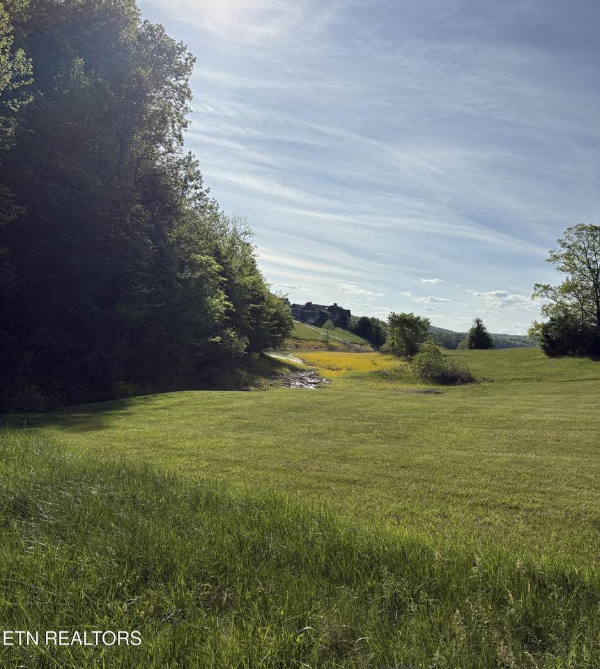 lot 485 Russell Brothers Rd - Photo 1