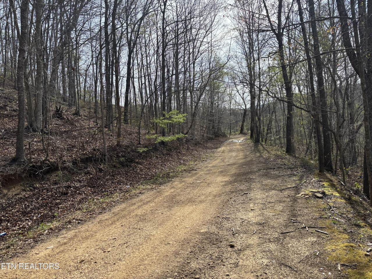  Lawson Rd - Photo 1