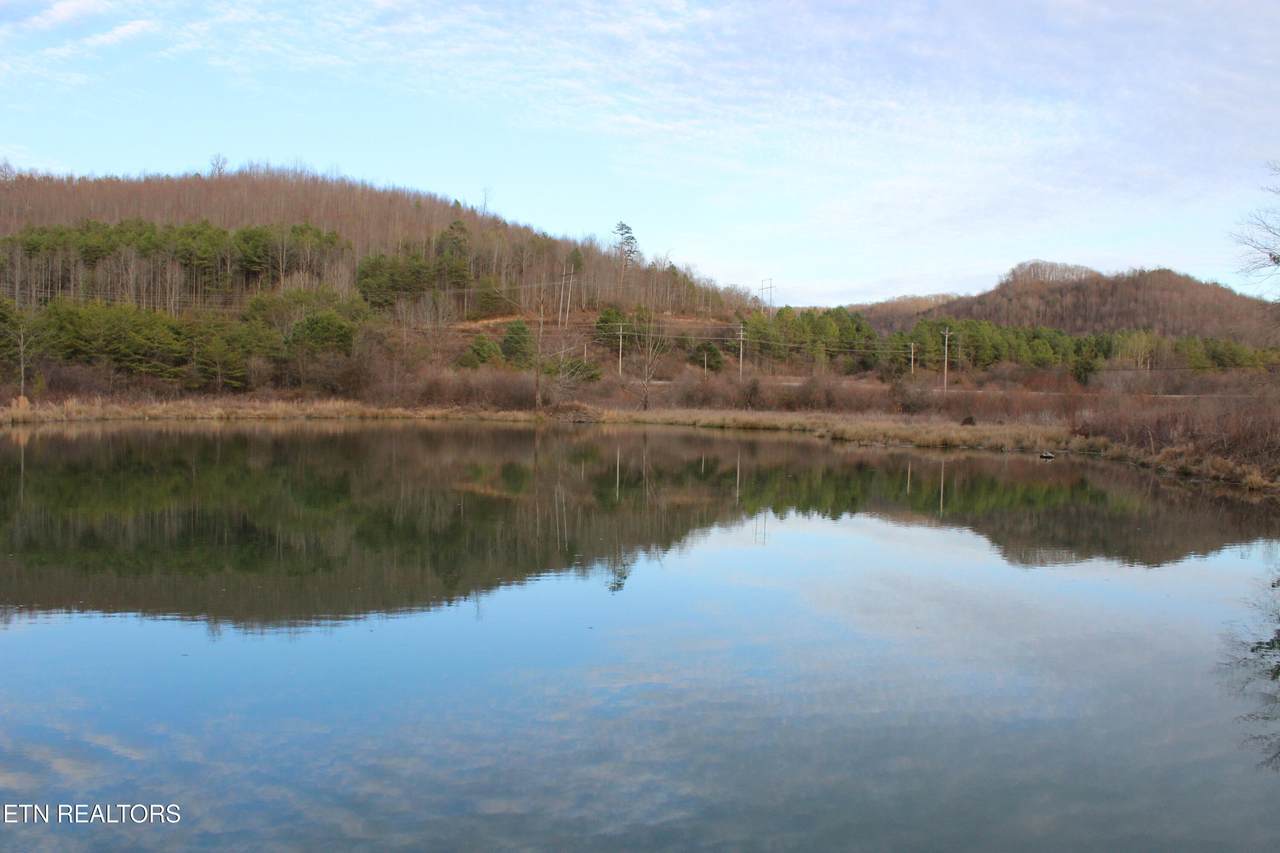 Davis Creek Tract 1 Rd - Photo 1