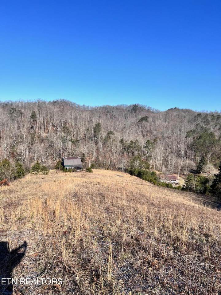 1581 Lower Caney Valley Rd - Photo 1