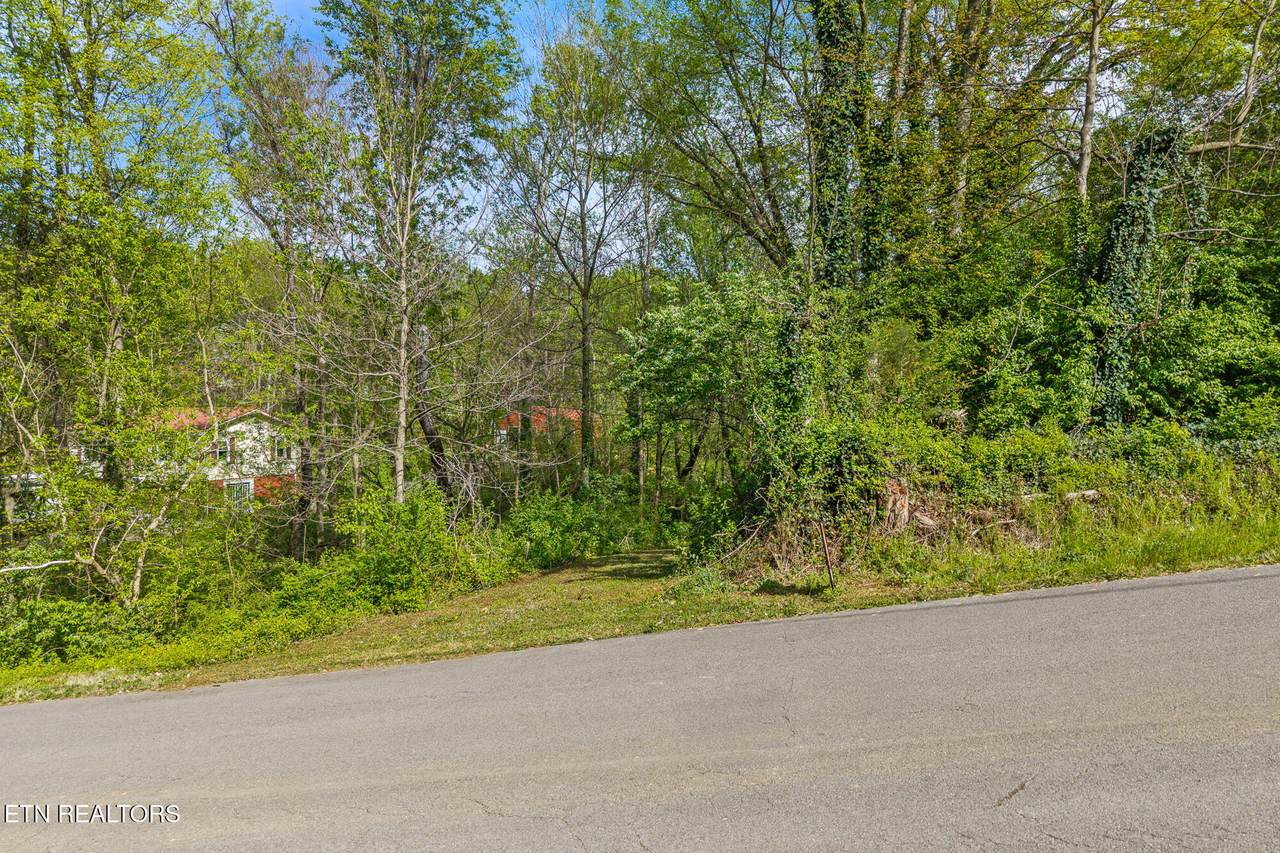 0 Kinzalow Drive - Photo 1