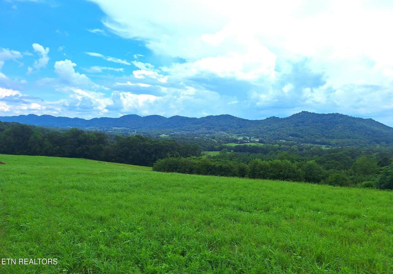305 Race Track Rd - Photo 1