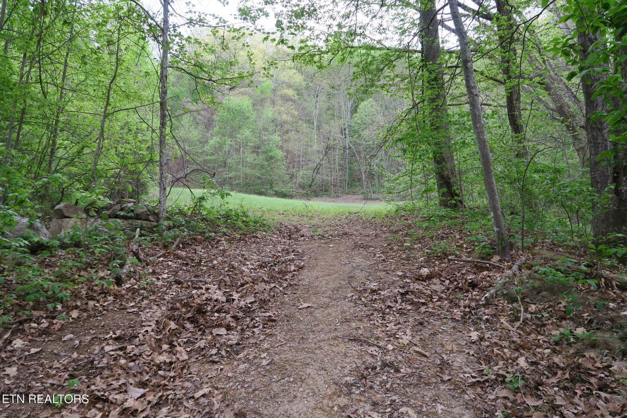 250 Mountain Side Lane - Photo 1