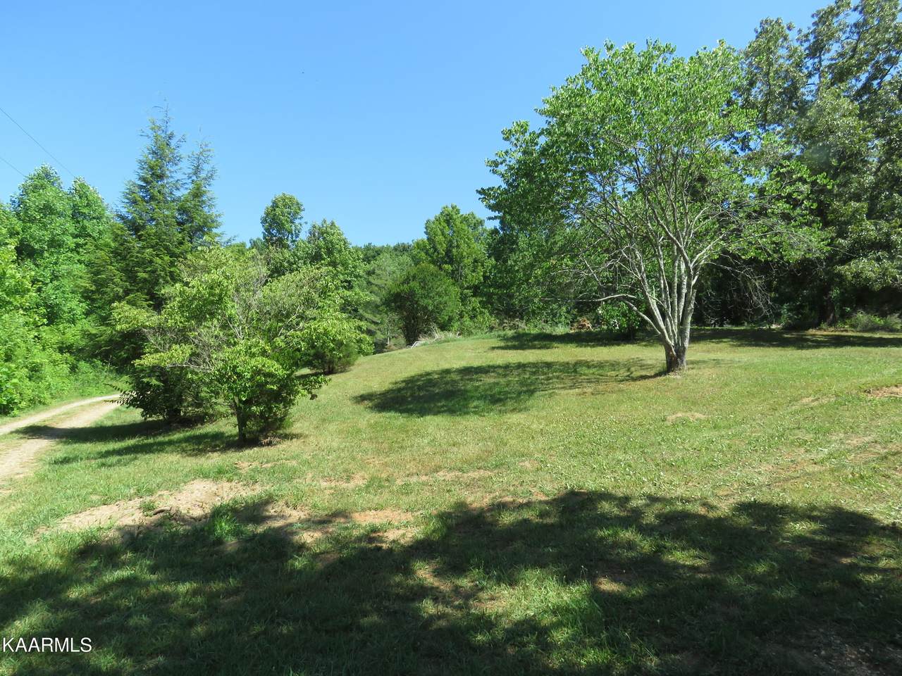 11505 Yarnell Rd - Photo 1