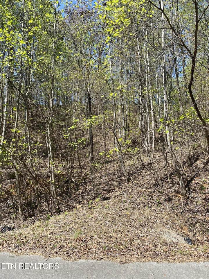 Lot 549 Garnet Tr - Photo 1