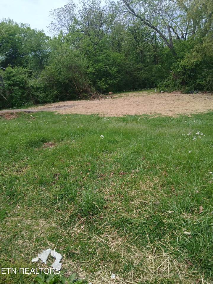 2919 Edgewood Ave - Photo 1