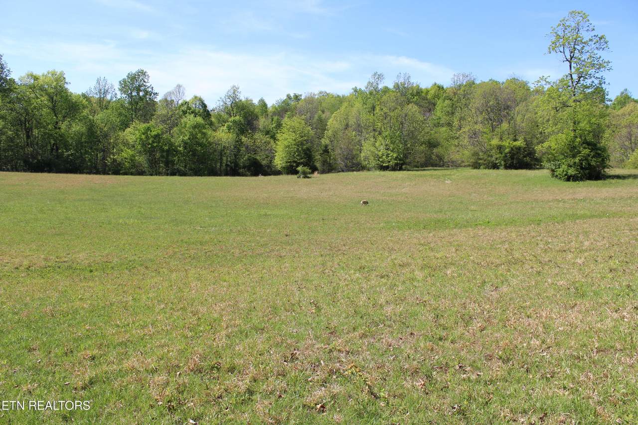 3710 Wayne Bryant Rd - Photo 1