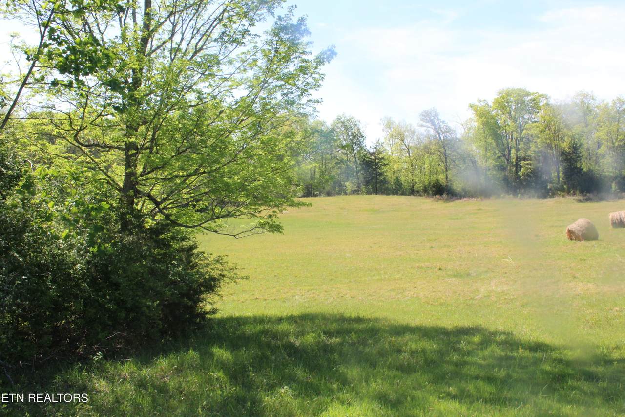 3740 Wayne Bryant Rd - Photo 1