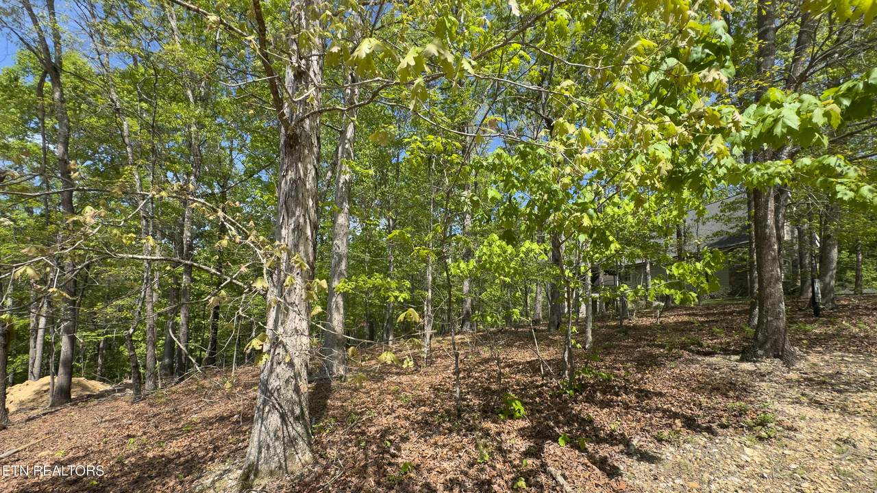 2085 Old Dogwood Tr - Photo 1