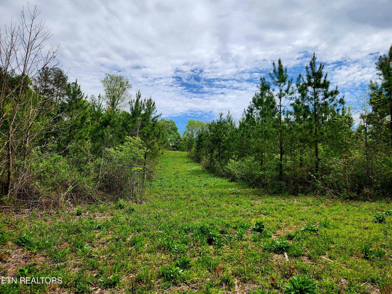  Lot 6 Winding Tr - Photo 1