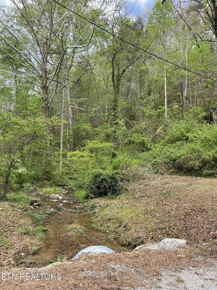 1573 Demory Rd - Photo 1