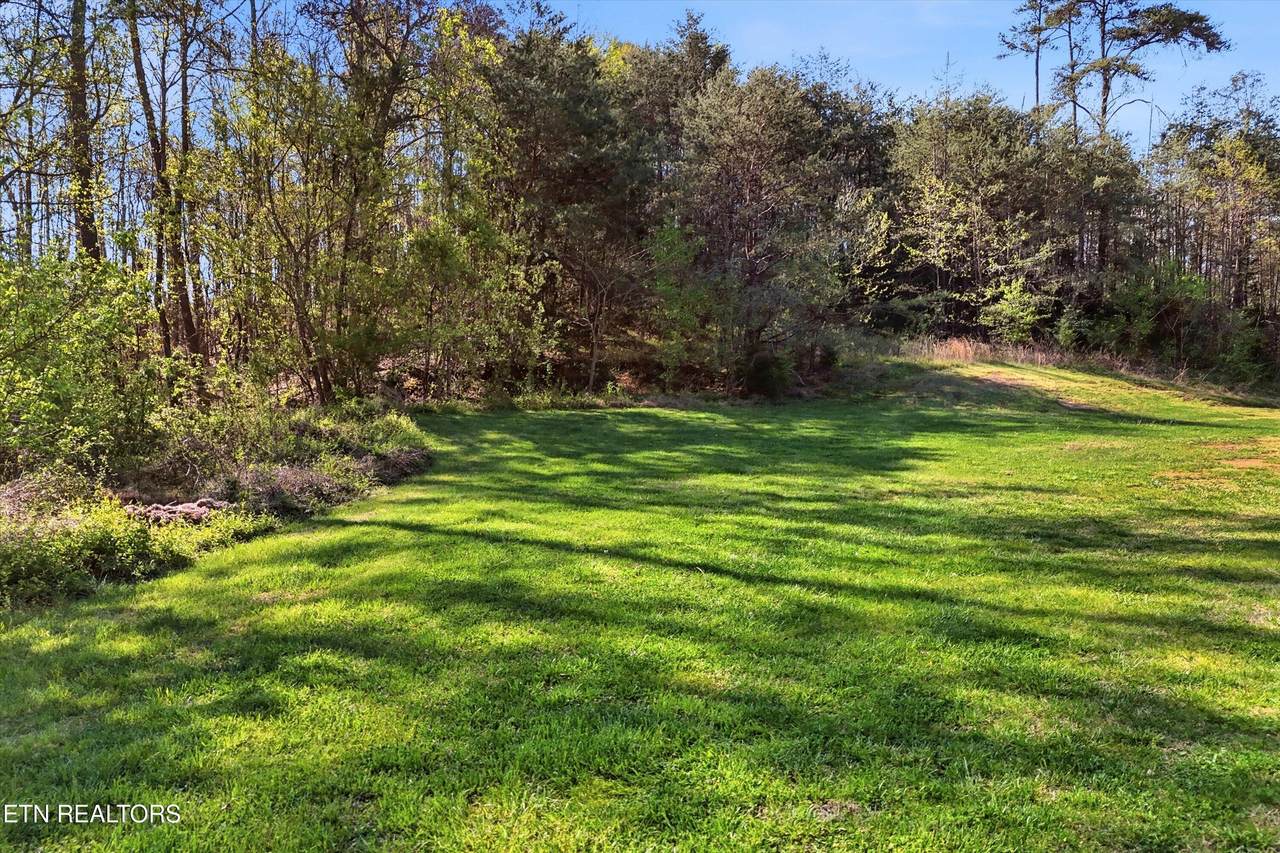 0 Old Maynardville Pike - Photo 1