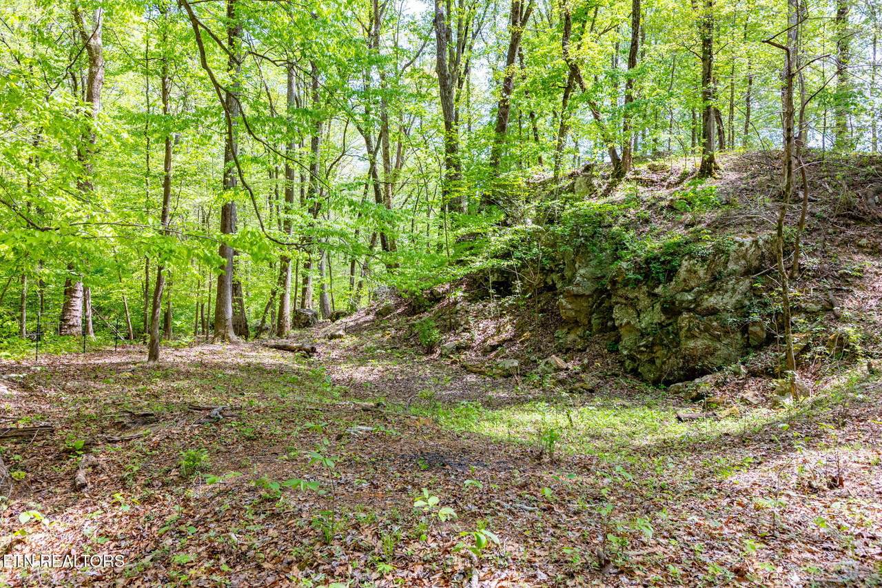  8 Ac +/-Tollgate Rd - Photo 1