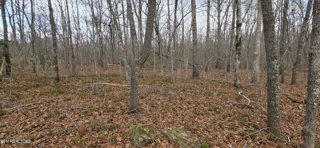 13 Pond Rd - Photo 1