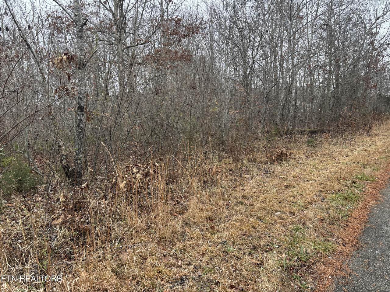  Everett Lane - Photo 1