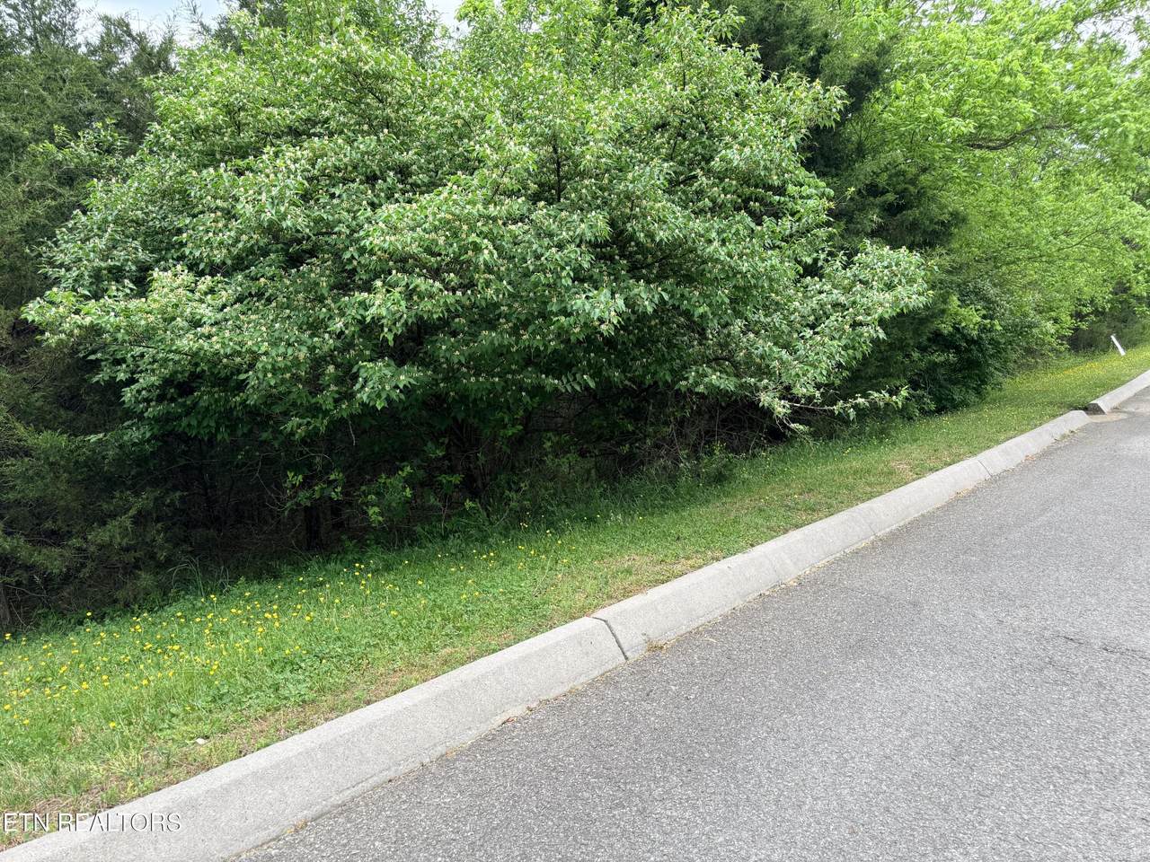  Wedge Way - Photo 1