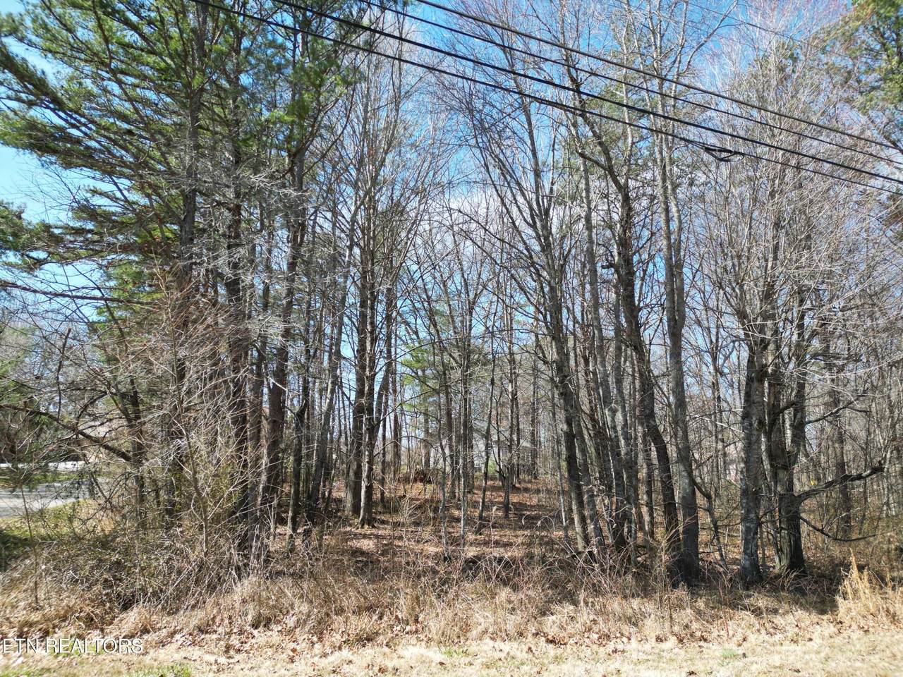 556 Westchester Drive - Photo 1