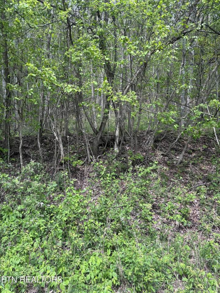  Chimney Rock Rd - Photo 1