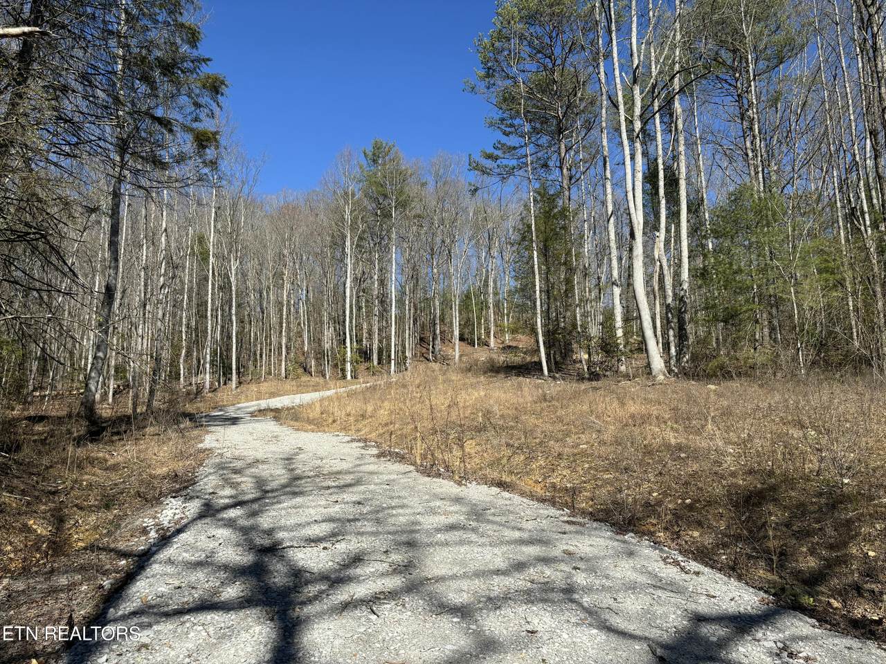 16305 Highway 70 - Photo 1