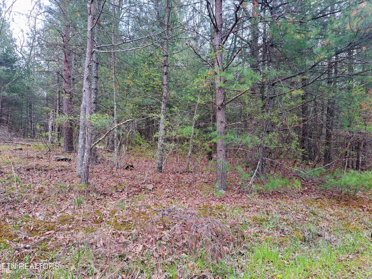 927 Paola Drive - Photo 1