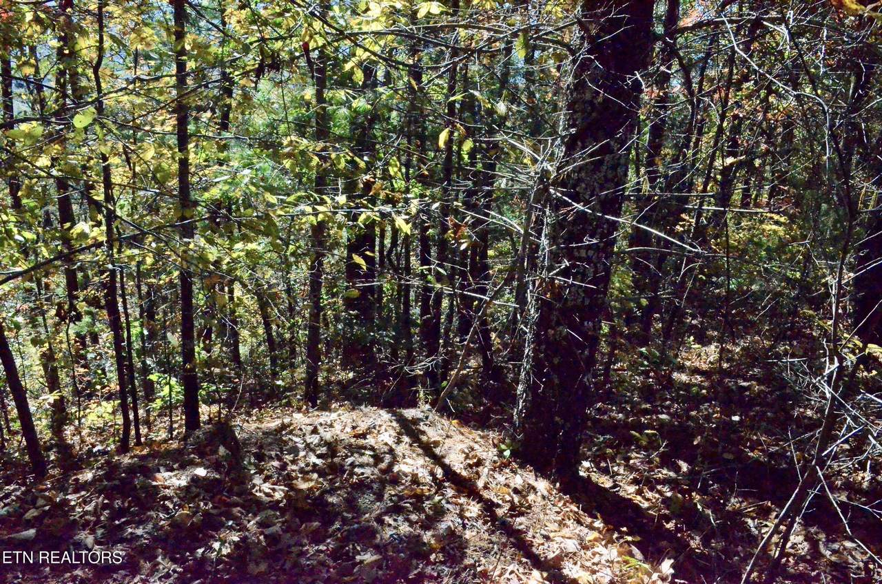 https://bt-photos.global.ssl.fastly.net/kaar/1280_boomver_1_1337777-2.jpg