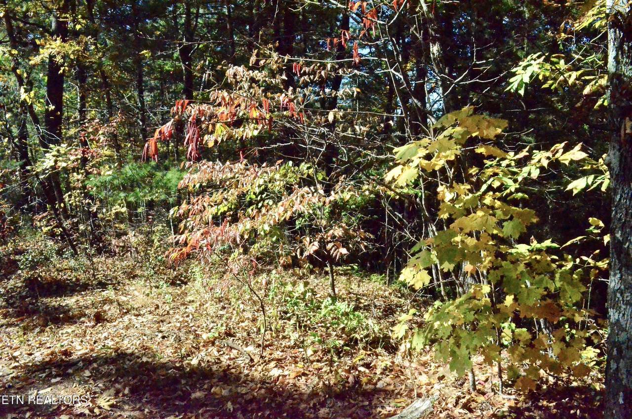 https://bt-photos.global.ssl.fastly.net/kaar/1280_boomver_1_1337777-2.jpg