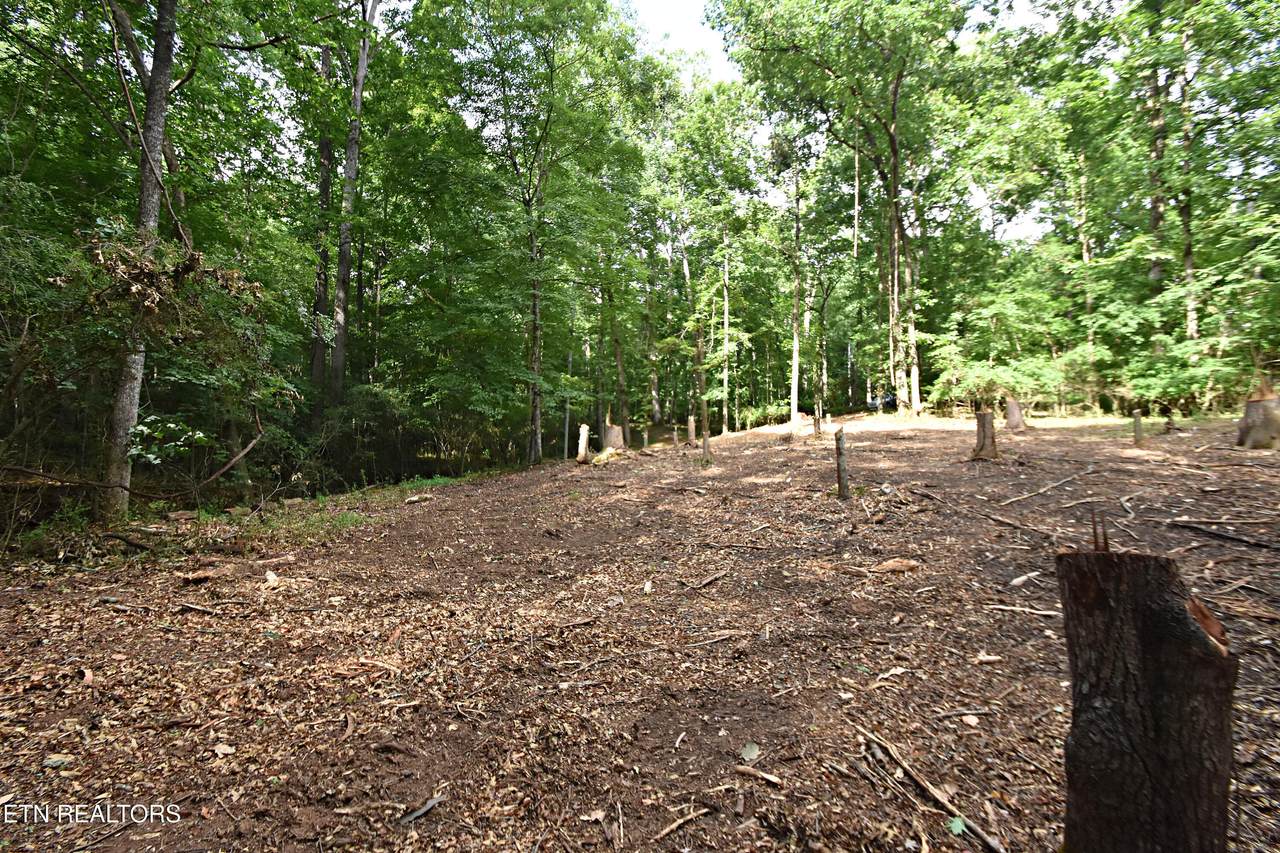0 Early Rd - Photo 1