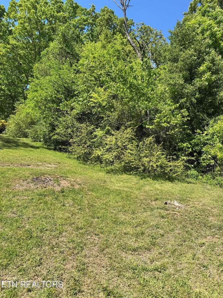 0 Brown Rd - Photo 1