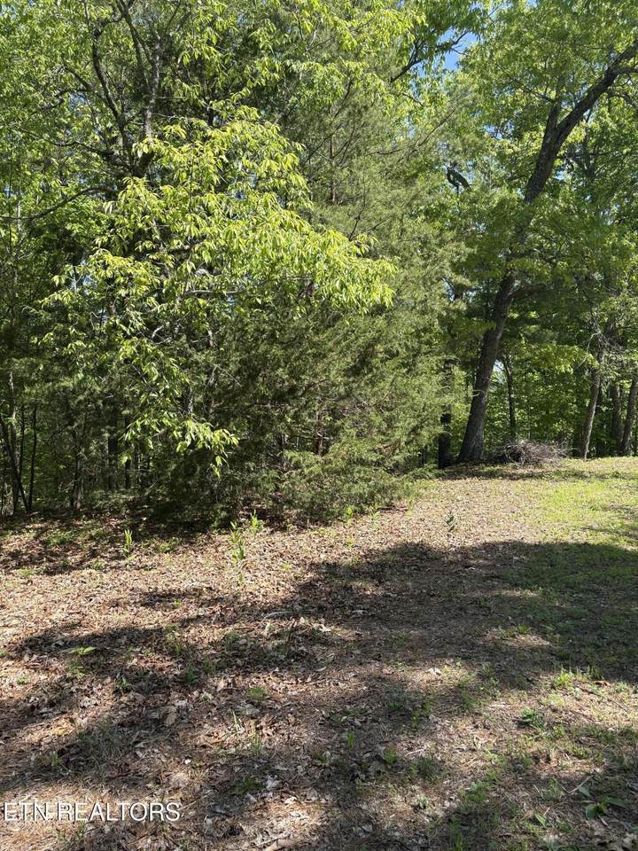 261 Mountain Retreat Rd - Photo 1