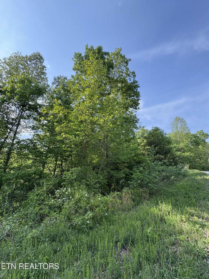 https://bt-photos.global.ssl.fastly.net/kaar/1280_boomver_1_1338083-2.jpg