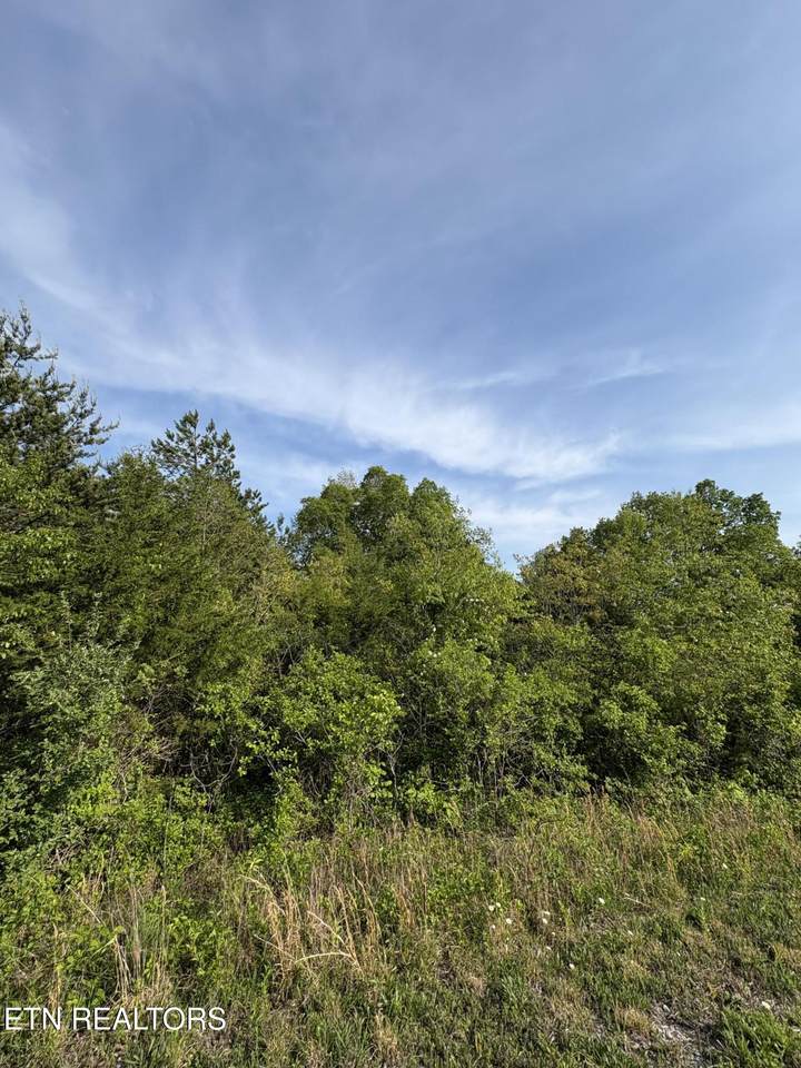 lot 60 Saddleridge Drive - Photo 1