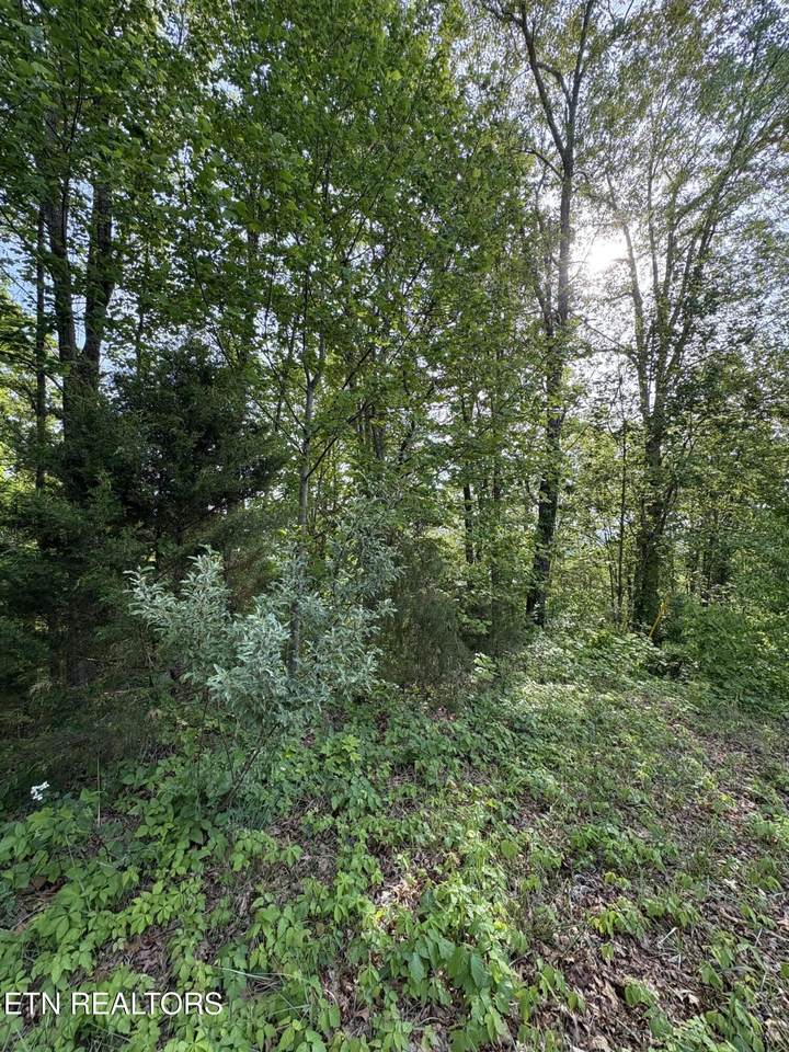 lot 169 Saddleridge Drive - Photo 1