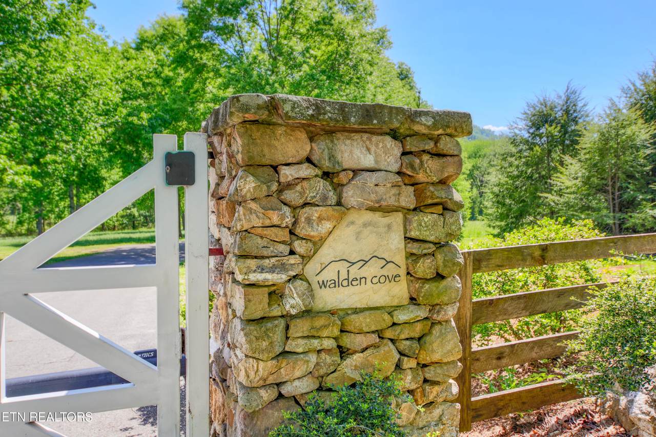 Lot 21 &22 Walden Cove Way - Photo 1