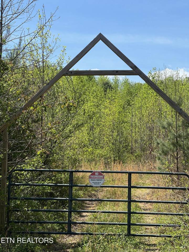  Coon Hollow Rd - Photo 1
