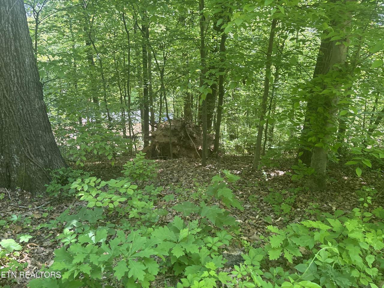 https://bt-photos.global.ssl.fastly.net/kaar/1280_boomver_1_1338323-2.jpg