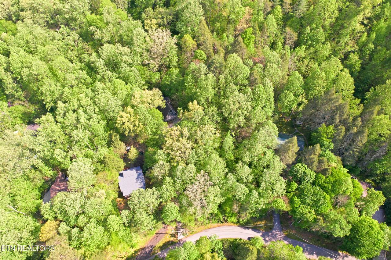  Domar Drive - Photo 1