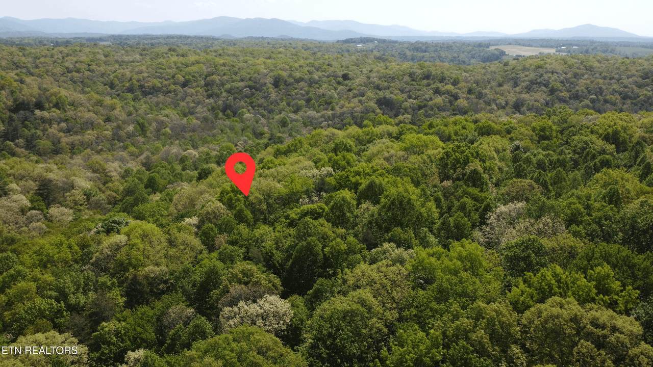 391 Ridge Rd - Photo 1