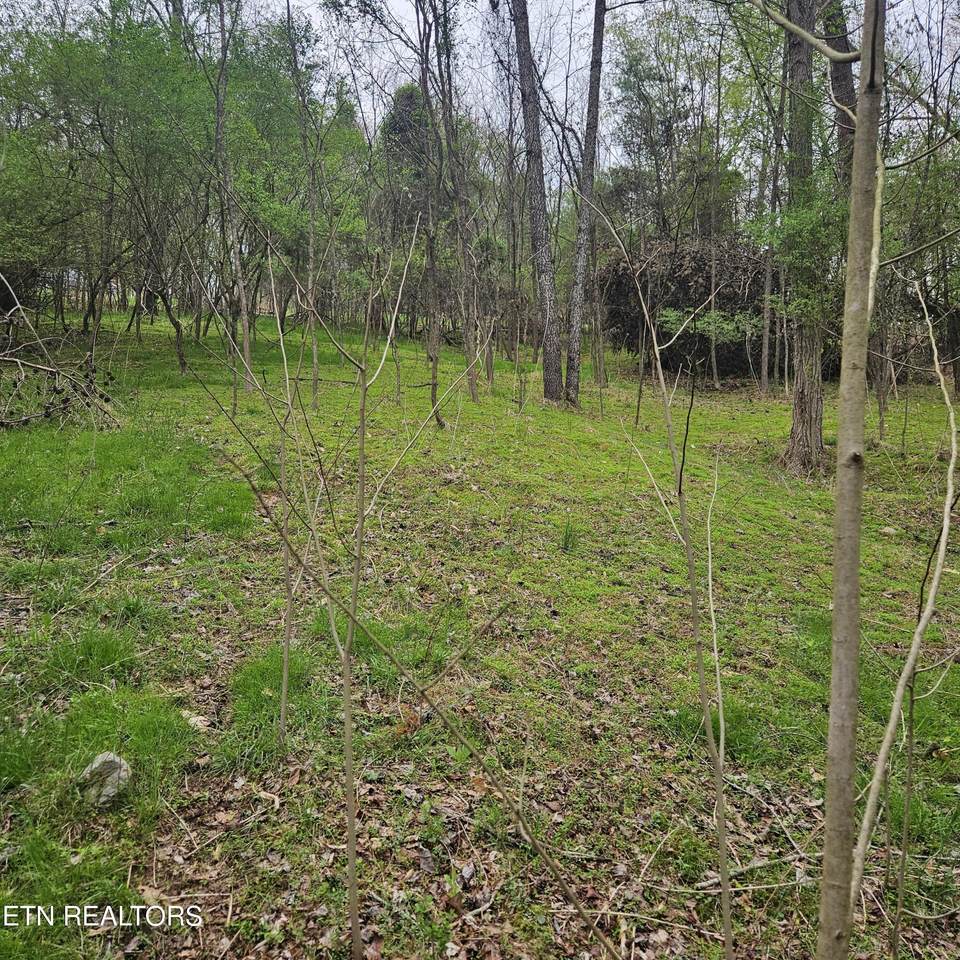 1919 Chelaque Way - Photo 1