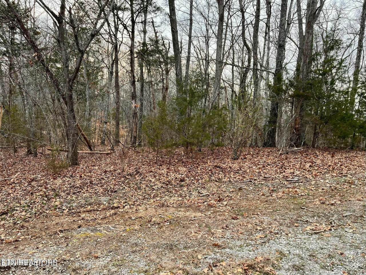 100 Odali Lane - Photo 1