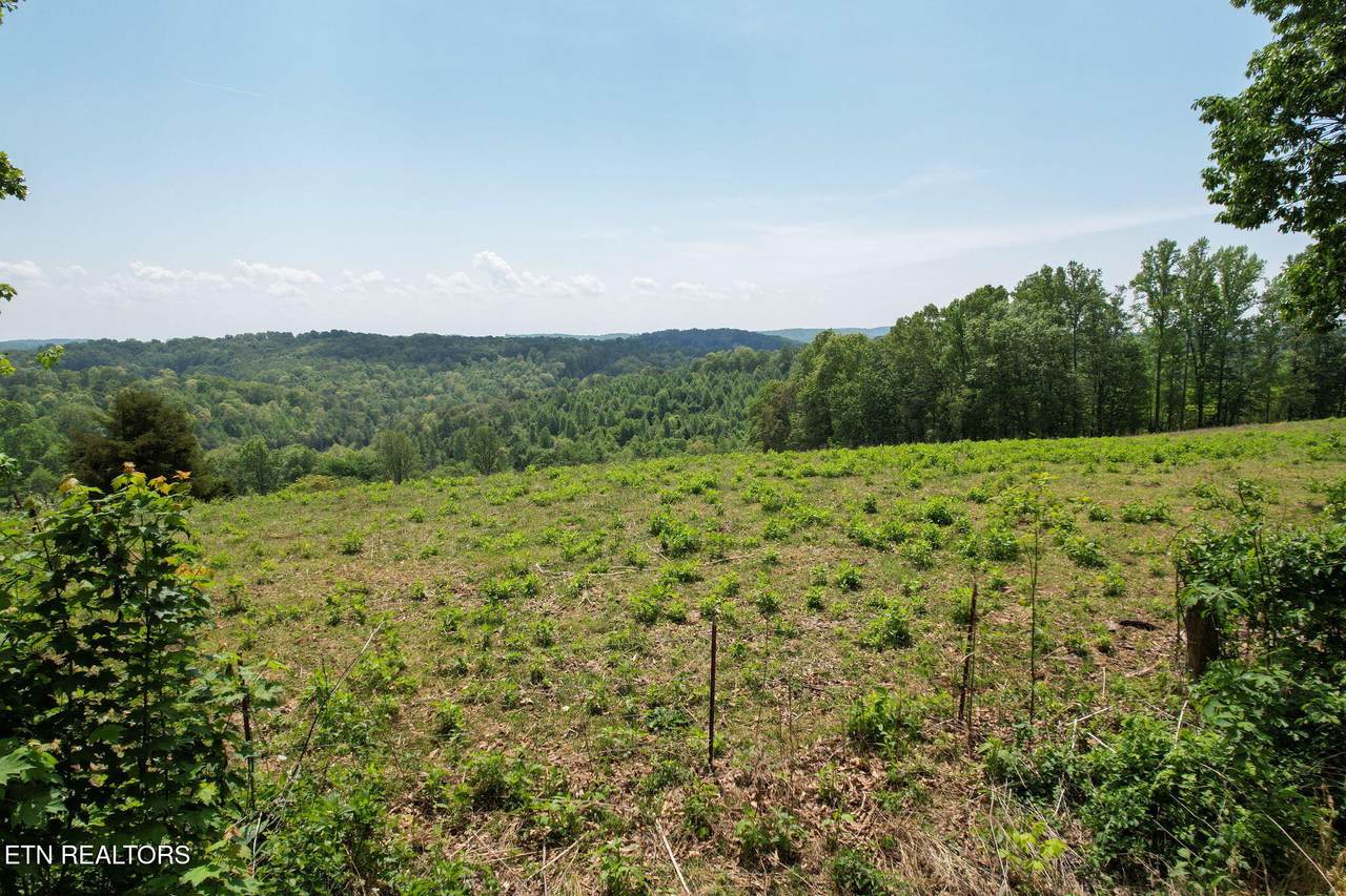 https://bt-photos.global.ssl.fastly.net/kaar/1280_boomver_1_1338671-2.jpg