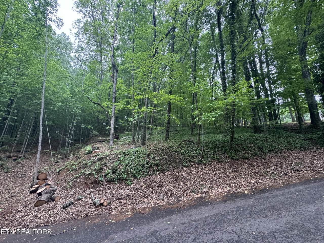 6816 Reddege Rd - Photo 1