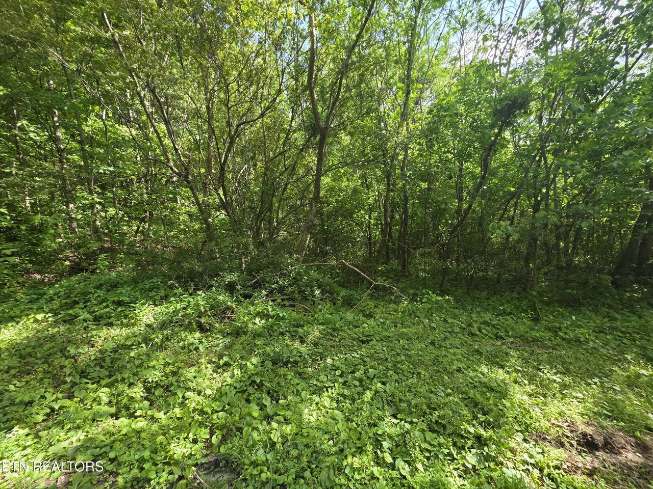  Cemetery Rd - Photo 1