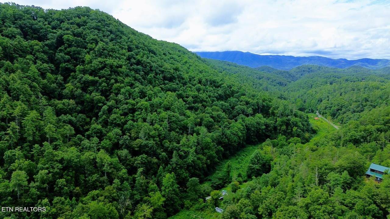  Carrs Creek Rd - Photo 1